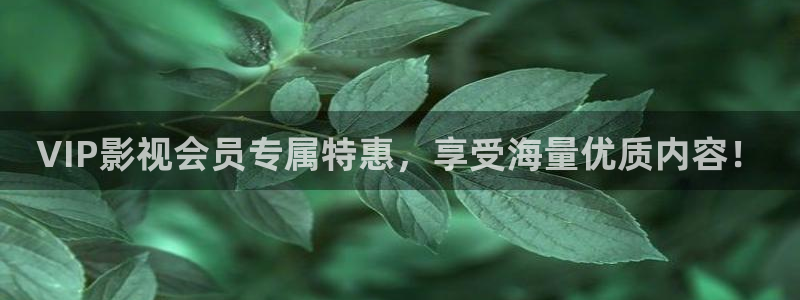 被窝电影网网址