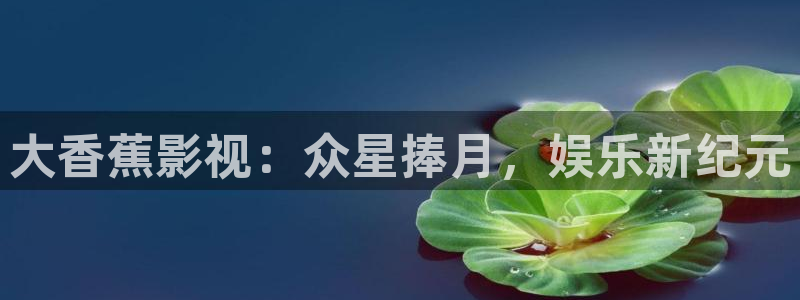 被窝电影网在线观看